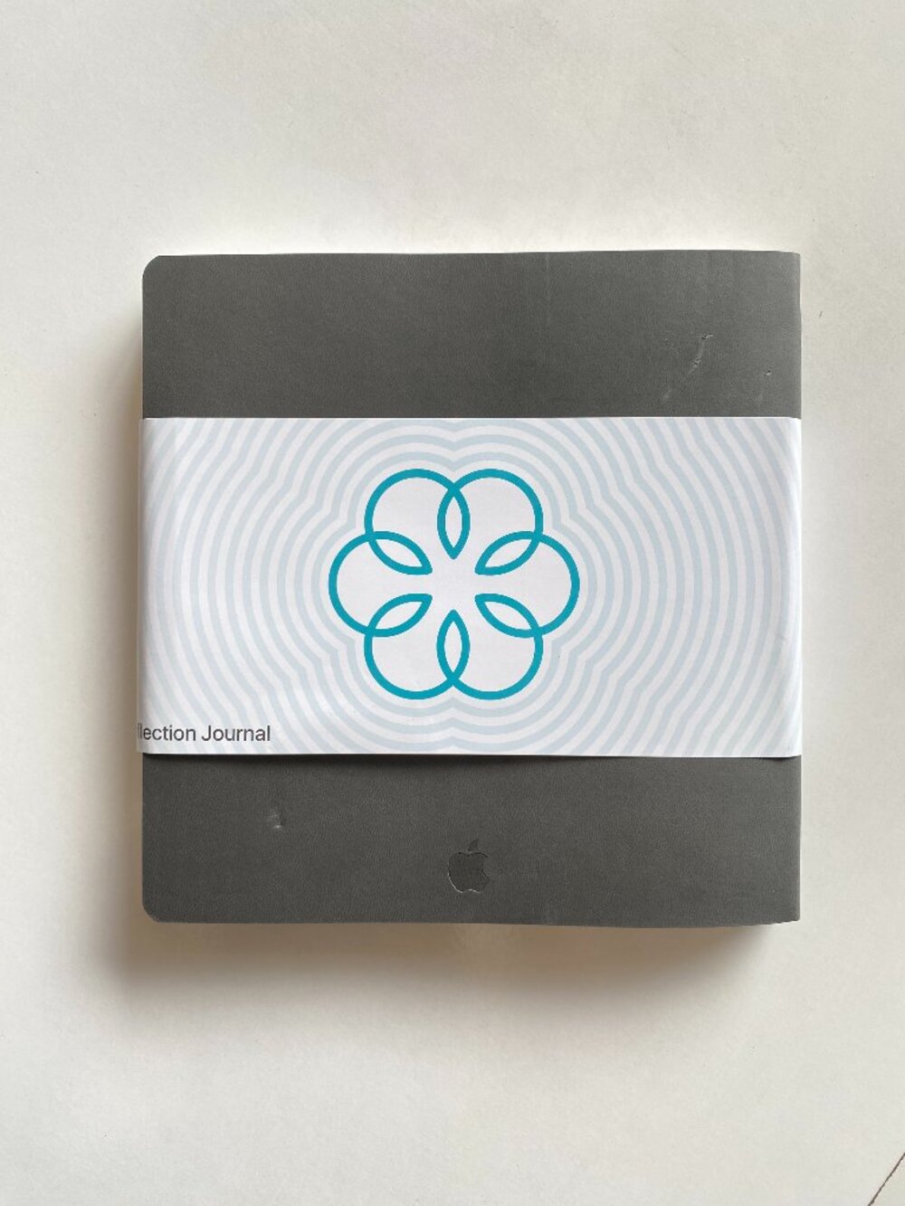 Apple Employee Mindful Minute Challenge 2025 Reflection Journal NEW